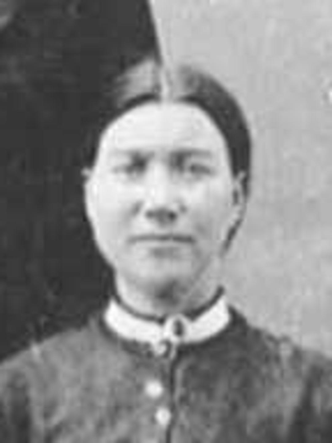 Alta Hancock (1840 - 1926) Profile